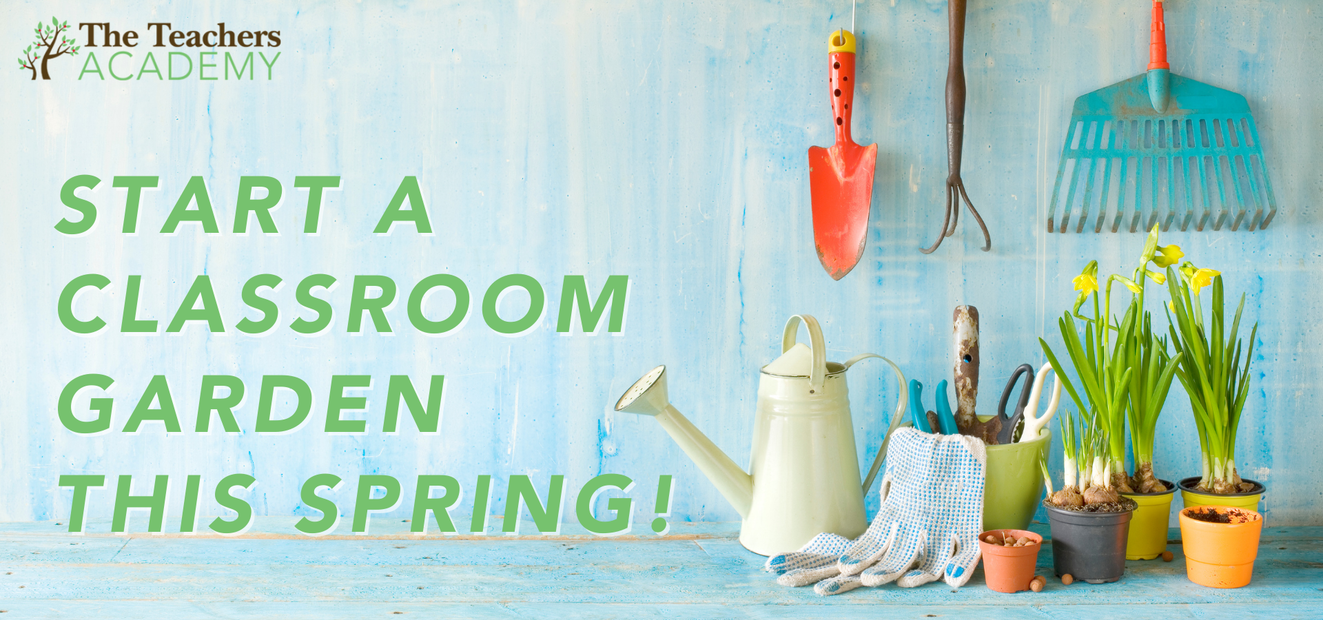 gardening tools and plants used to create a classroom garden
