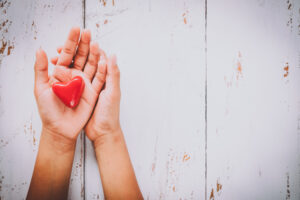 Hands holding plastic heart to represent teachers being empathetic