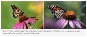 Side by side comparison of images showing a monarch butterfly on a purple flower. One image is a photo while the other is generated by artificial intelligence. 